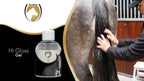 Excellent Horse Hi Gloss Gel 100 ml