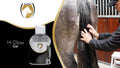 Excellent Horse Hi Gloss Gel 250 ml