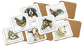 Boerenwinkel Coasters