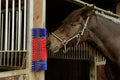 Brush for horse, cattle, goat