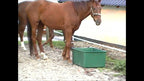 OK Plast Pasture Trough 200 l