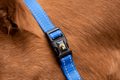 Excellent Essential Halter Blue XS