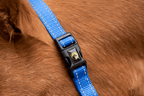 Excellent Essential Halter Blue XS