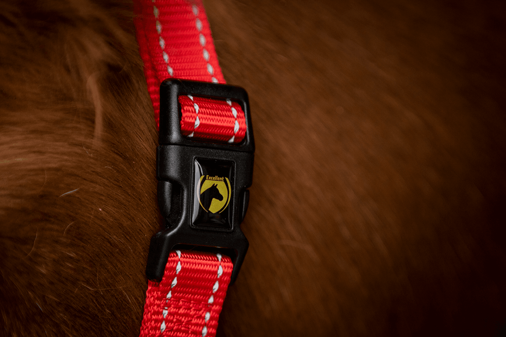 Excellent Premium Halter Red XS