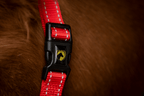 Excellent Premium Halter Red XS