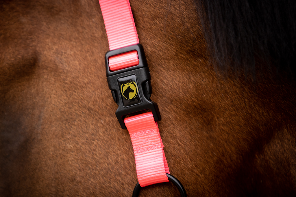 Excellent Premium Halter Pink XS
