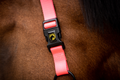 Excellent Premium Halter Pink XS