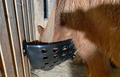 OK Plast Hay Rack Multi 115 liter