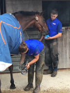Horslyx Mini Respiratory
