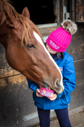 Horslyx Mini Digest