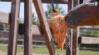 Hay Slow Feeder Fun & Flex Carrot Green