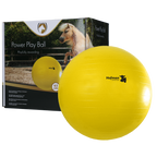 Maximus Power Play Ball 65 cm
