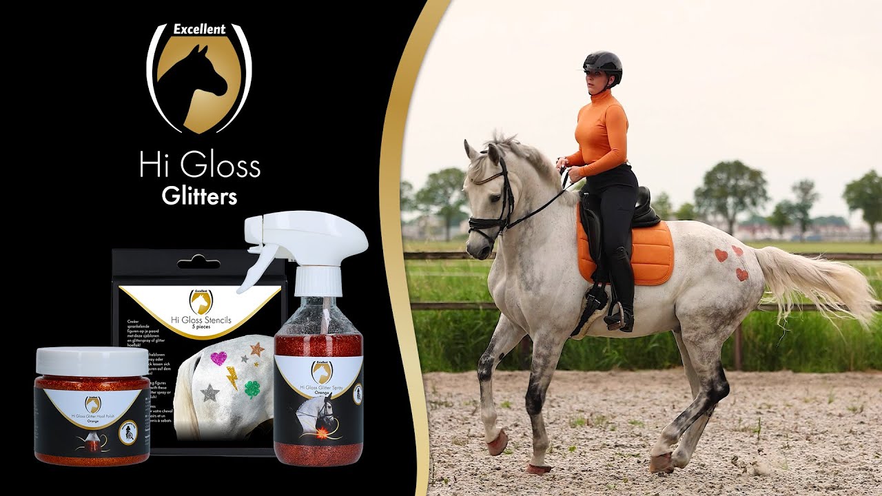 Excellent Horse Hi Gloss Stencils 5 pieces
