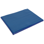 Disinfection mat 55x45x3 cm