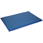Disinfection mat 85x60x3.5 cm
