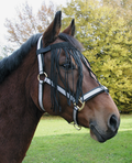 Fly Fringe Strap Full Pony