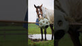 Excellent Horse Feed & Play Ball Green