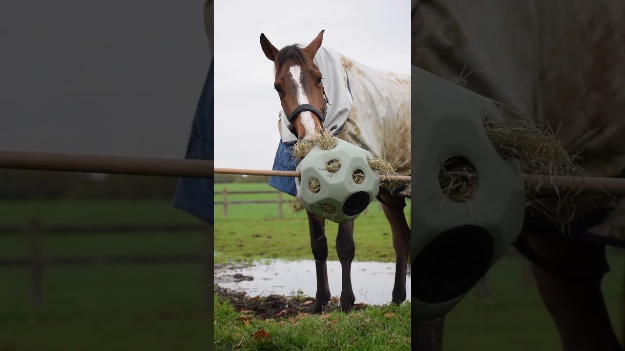Excellent Horse Feed & Play Ball Green