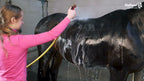 Excellent Horse Grooming Brush M Pink