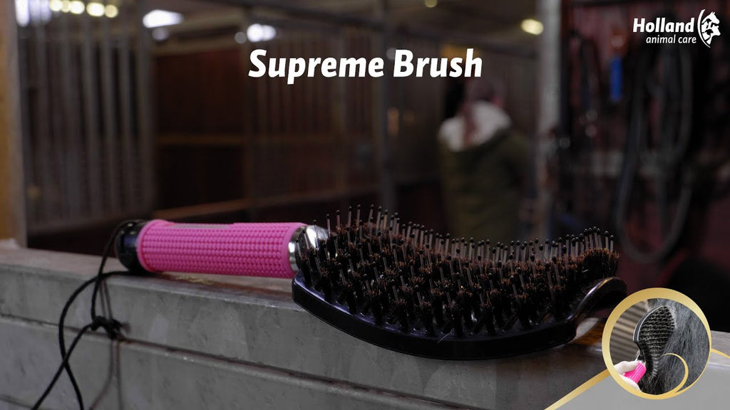 Excellent Horse Supreme Brush Black